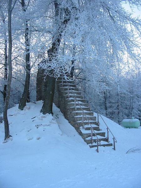 La Trouvaille Bed and Breakfast Weismes Buitenkant foto